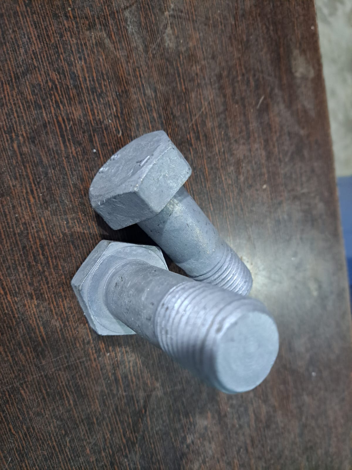 WhatsApp Image 2022-10-12 at 15.54.56