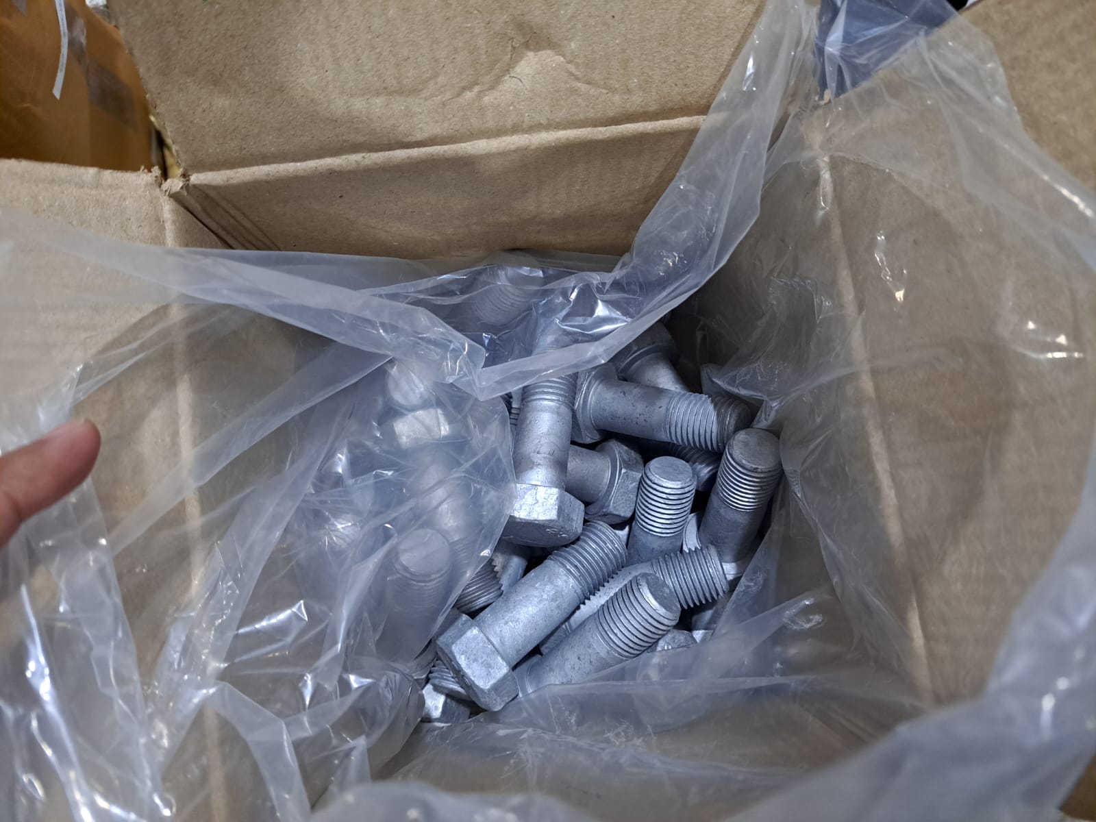 WhatsApp Image 2022-10-12 at 15.54.57