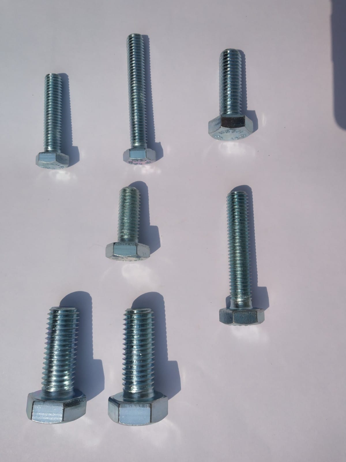 WhatsApp Image 2022-10-12 at 16.00.11